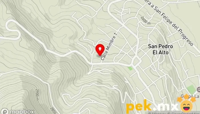 mapa de FAMILIA MENDOZA GARCIA Compañía eléctrica en San Pedro el Alto