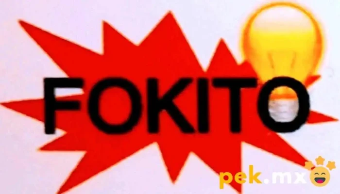 Ferrelectrica Foquito Del Propietario - Tulcingo de Valle