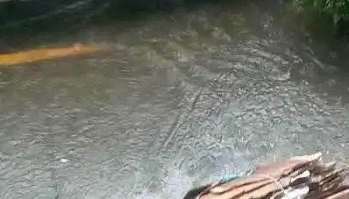 Ferreteria Memo Videos - Toluca de Lerdo