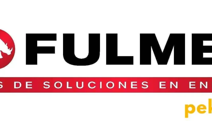Fulmen -  Del Propietario - Cdad. de Allende