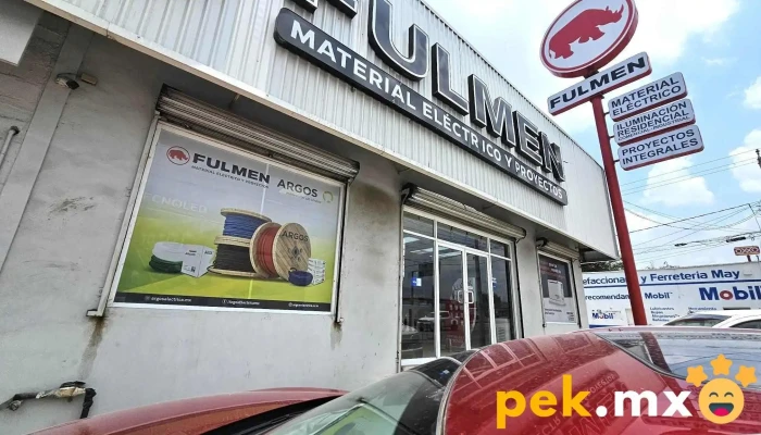 Fulmen -  Mas Recientes - Cdad. de Allende