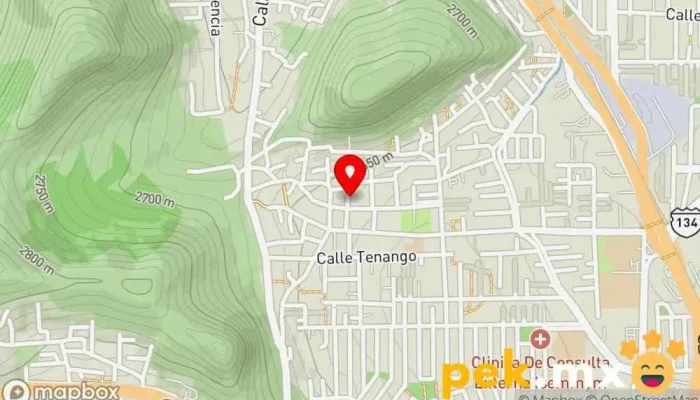 mapa de Gómez electric Compañía eléctrica en Toluca de Lerdo