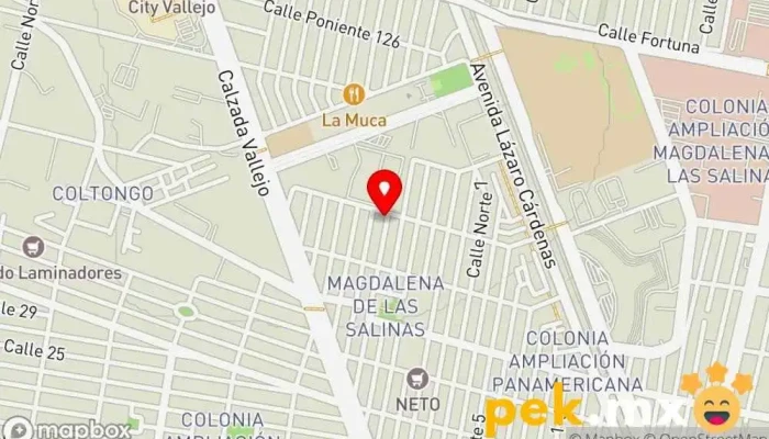 mapa de Grupo IPE Instalaciones SA de CV Servicio de instalación eléctrica en Gustavo A. Madero, Ciudad de México