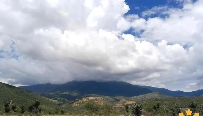 H. Ayuntamiento de San Pedro Taviche - San Pedro Taviche