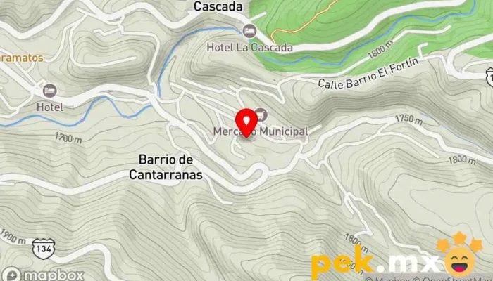 mapa de H. Ayuntamiento de Temascaltepec Oficinas de empresa en Temascaltepec de González