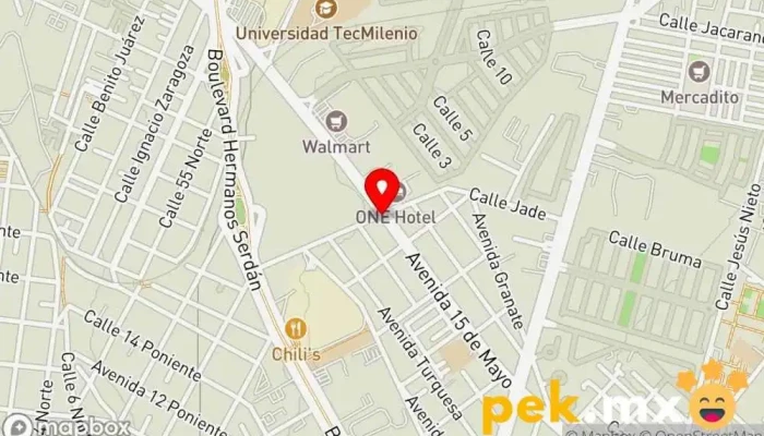 mapa de HORMIGA CERRAJERIA Cerrajero en Heroica Puebla de Zaragoza