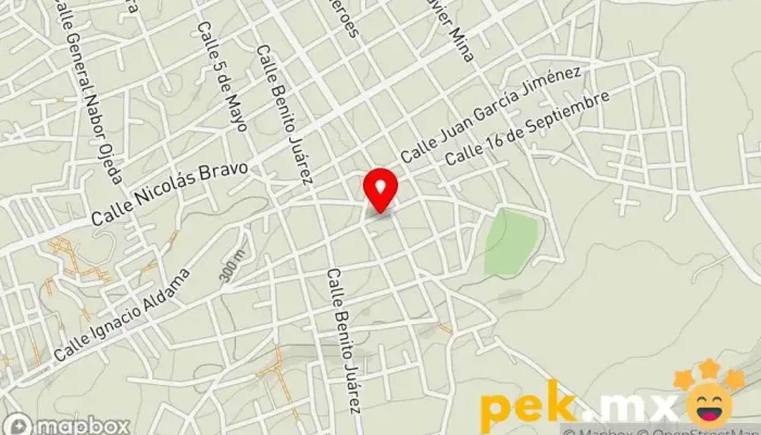 mapa de Ica Cerrajeria Cerrajero en Ometepec
