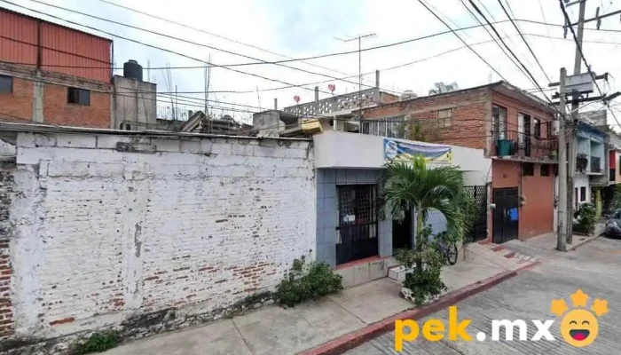 Industrial Monroy S.a. de C.v. - Cuernavaca