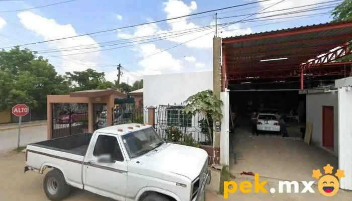 Inselect - Culiacán Rosales