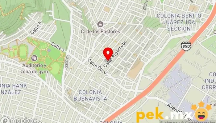 mapa de instalaciones electricas LOZANO Pollería, Electricista en Ciudad de México