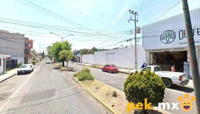instalaciones eléctricas palafox - San Martín De Porres
