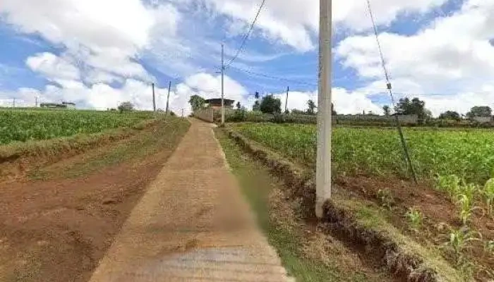 Instalaciones Electricas Y Plomeria -  Sitio Web - Tepepa
