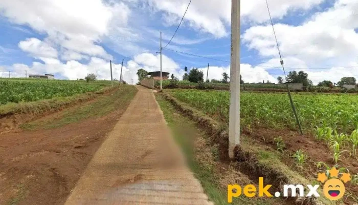 Instalaciones electricas y plomeria - Tepepa