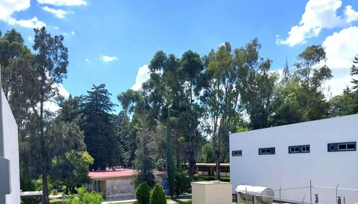 Instituto Tecnologico De Puebla Puntaje - Heroica Puebla de Zaragoza