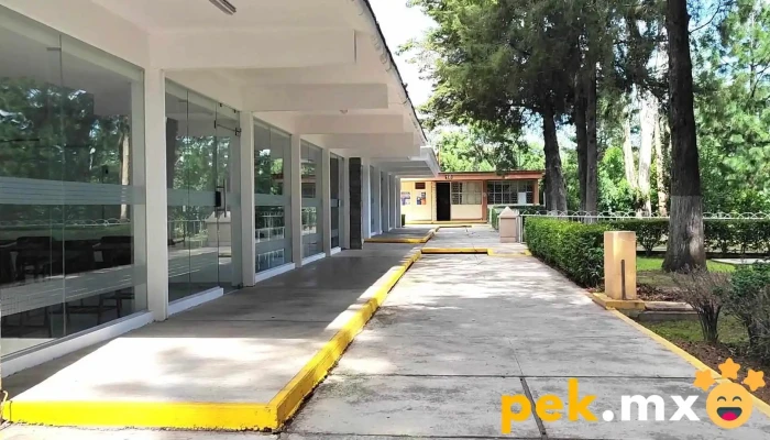 Instituto Tecnologico De Puebla Videos - Heroica Puebla de Zaragoza