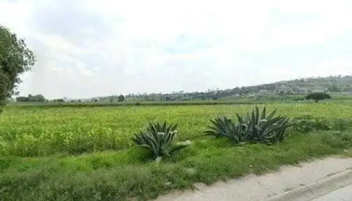 Isec - Loma Bonita