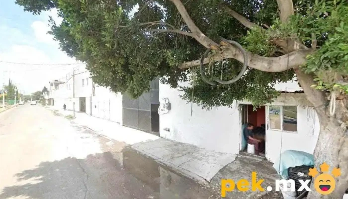 Iván Pérez cerrajería chapas y elevadores cervisio adomisilio - Santa Monica