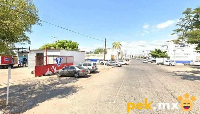 Jf Structural Construcciones - Los Mochis