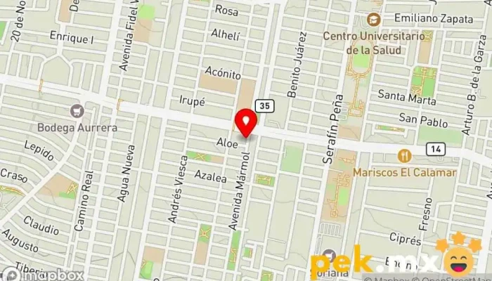 mapa de Jomar Electric Electricista en Guadalupe