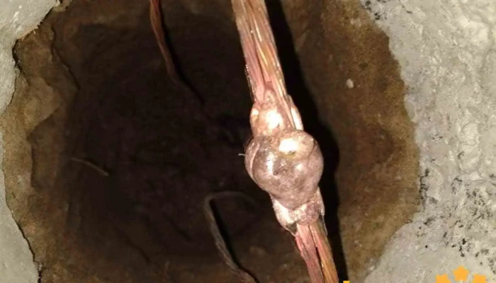 Jvh Ingenieria Electromecanica Del Propietario - Río Blanco