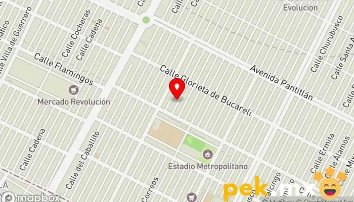 mapa de MANTENIMIENTO EN GENERAL BORJA Herrero, Electricista, Fontanero en Cdad. Nezahualcóyotl