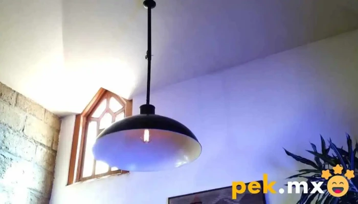 Mantenimiento Especializado Sv -  Telefono - Santiago Tlacotepec