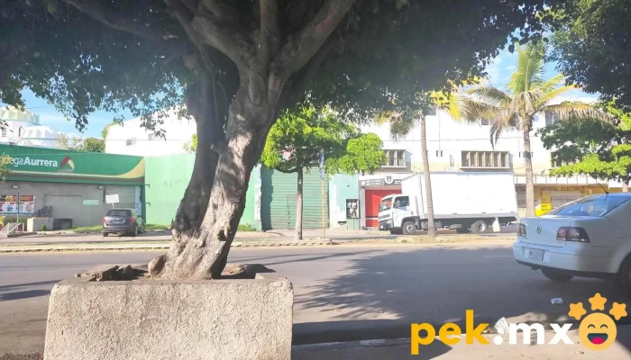 Mayorista Electrico Y Ferretero Sa De Cv Abierto Ahora - Mazatlán