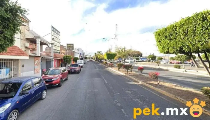 Melsa S.a. De C.v. - Tehuacán