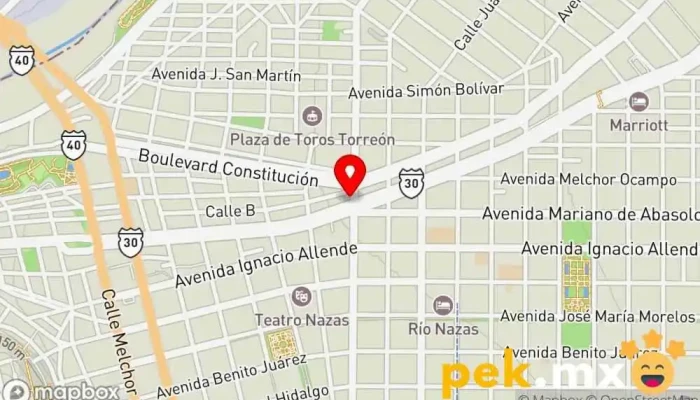 mapa de M.G. Autoprogramación Cerrajero, Servicio de reparación de sistemas eléctricos para automóviles en Torreón