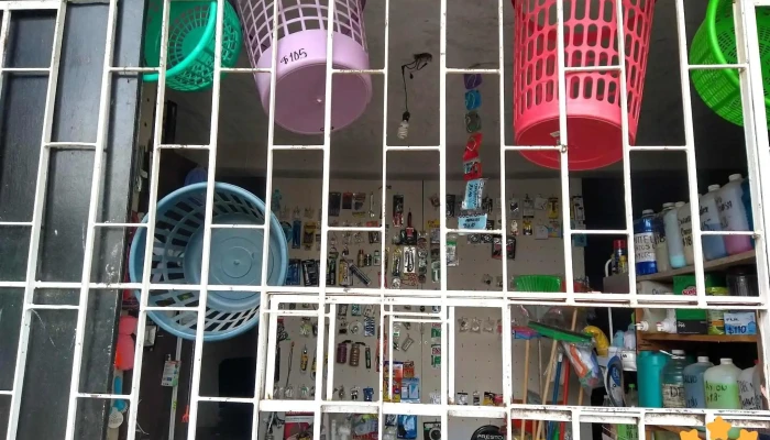 Mini Ferro Electrica Y Jarceria Gloria Del Propietario - Cocotitlán