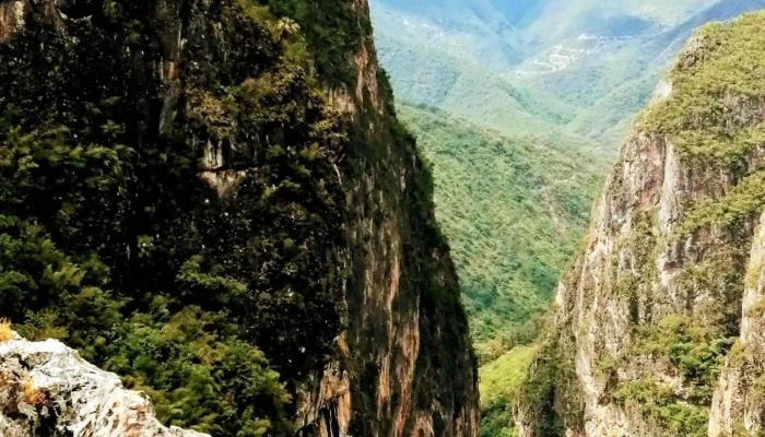 Mirador Turistico Santos Reyes Tepejillo Bosque - Santos Reyes Tepejillo