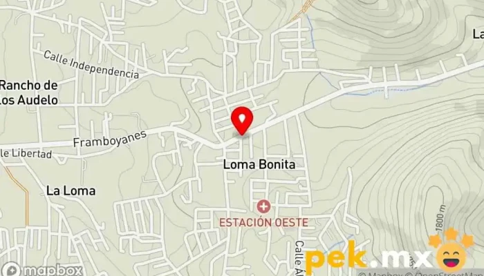 mapa de Miscelánea SURTIHOGAR Tienda de alimentación en Oaxaca