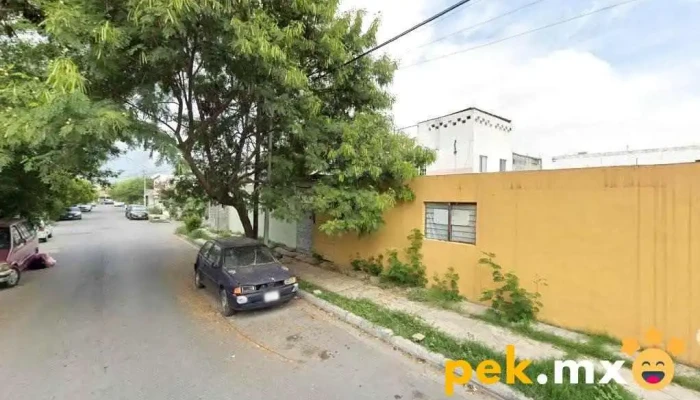 Multiservicio Treviño - Villas Del Parque