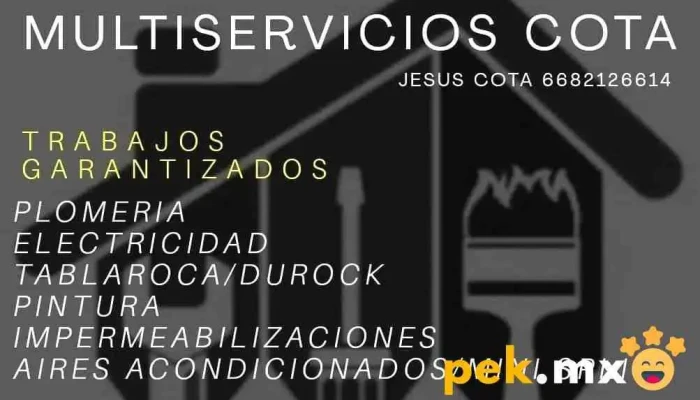 Multiservicios Cota -  Sitio Web - Los Mochis