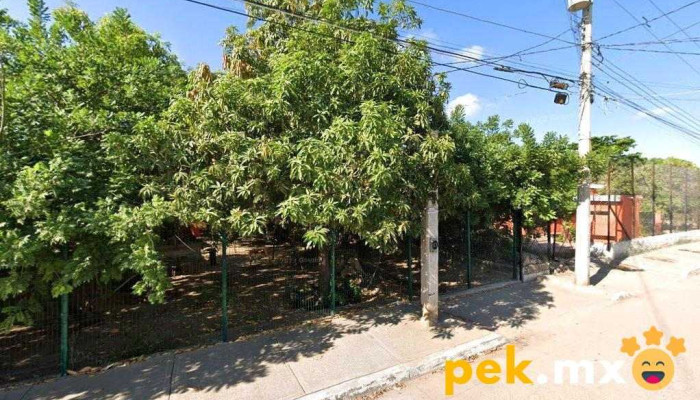 Multiservicios El Winas - Los Mochis