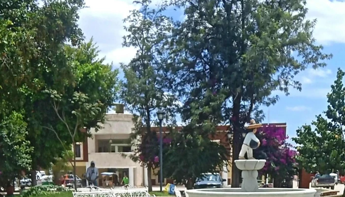 Municipio De San Antonino Castillo Velasco -  Cerca De Mi - San Antonino Castillo Velasco