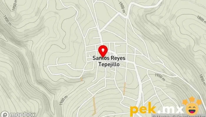 mapa de Municipio de Santos Reyes Tepejillo Oficina de la Administración en Santos Reyes Tepejillo