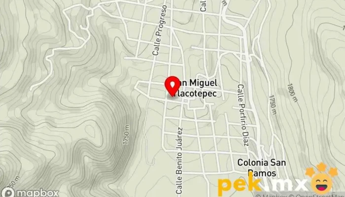 mapa de Municipio San Miguel Tlacotepec Ayuntamiento en San Miguel Tlacotepec