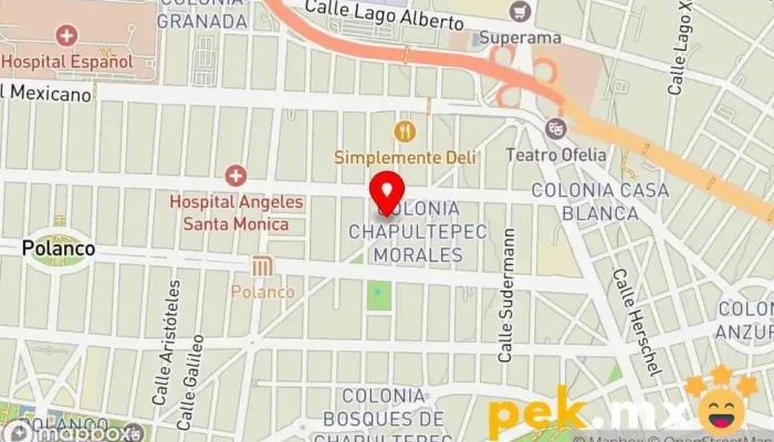 mapa de Nagic De Mexico S.A De C.V Empresa de construcción, Tienda aire acondicionado, Albañil, Electricista en Miguel Hidalgo, Ciudad de México