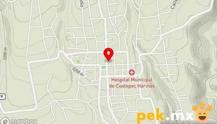 mapa de Palacio Municipal de Coatepec Harinas Oficina de gobierno local en Coatepec Harinas