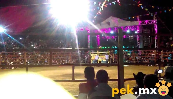 Panteon Municipal Videos - San Antonino Castillo Velasco