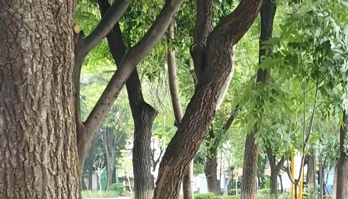 Parque Electricistas Pilares -  Catalogo - Azcapotzalco, Ciudad de México