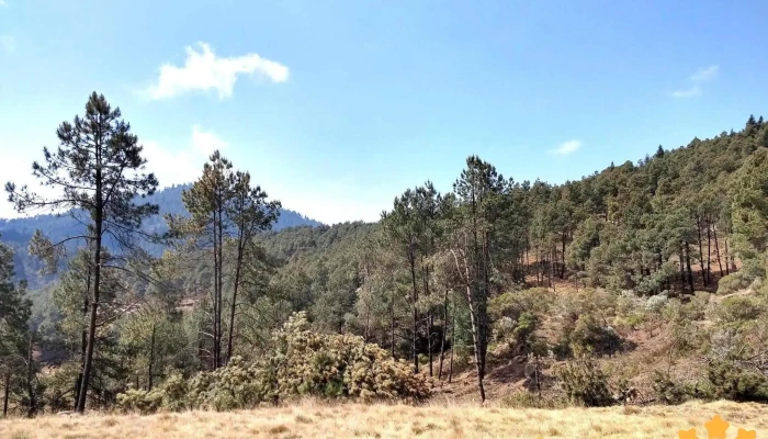 Parque Nacional Cumbres Sierra Nevada Montana - Méx.