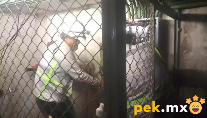 Perezs Electricista Del Propietario - Cuajimalpa de Morelos, Ciudad de México