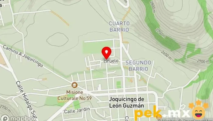 mapa de Pide Mex Electricista en Joquicingo