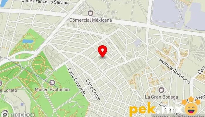 mapa de PIE SA DE CV Compañía eléctrica en Heroica Puebla de Zaragoza