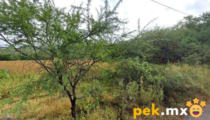 Planta Tratadora De Aguas Residuales - Santo Domingo Tonalá