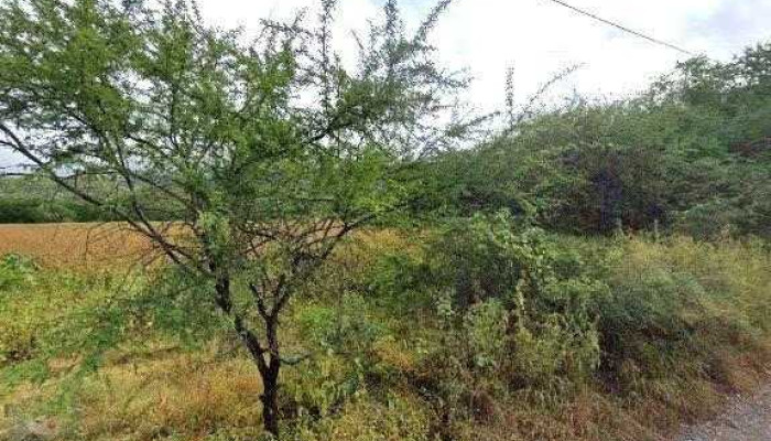 Planta Tratadora De Aguas Residuales -  Zona - Santo Domingo Tonalá