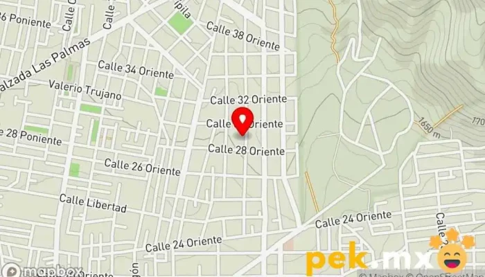 mapa de PLOGALEC Plomería Gas Electricidad Fontanero, Servicio de instalación eléctrica en Tehuacán