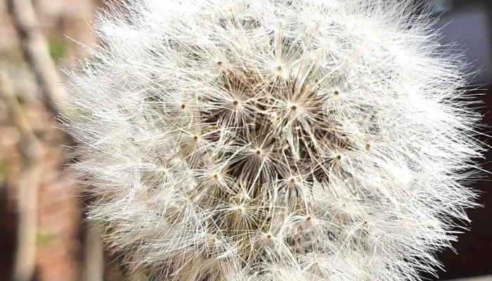 Plomeria Y Complementos Electricos Jcl Numero - Jacona de Plancarte